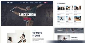 Dance Studio -是一个主题的WordPress模板。官方正版 + 可商用。可快速创建B2B网站、B2C商城、展示型网站、询盘型网站、营销型网站；适用于中文网站、英文网站、多语言网站。国内企业、外贸公司均可选择。